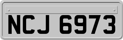 NCJ6973