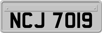 NCJ7019