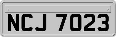 NCJ7023