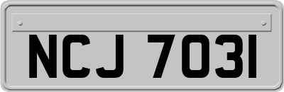 NCJ7031