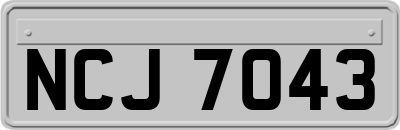 NCJ7043