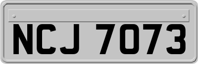 NCJ7073