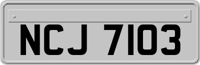 NCJ7103