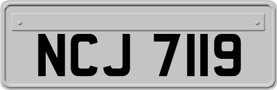 NCJ7119