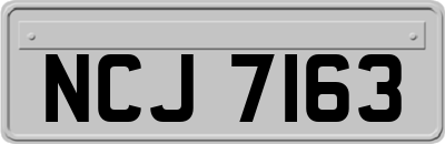 NCJ7163