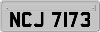 NCJ7173