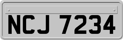 NCJ7234