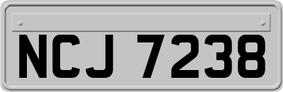 NCJ7238