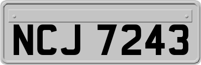 NCJ7243