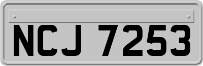 NCJ7253