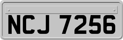 NCJ7256