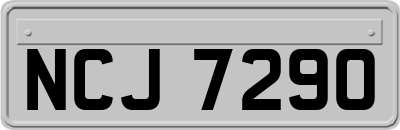 NCJ7290
