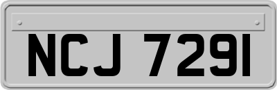 NCJ7291