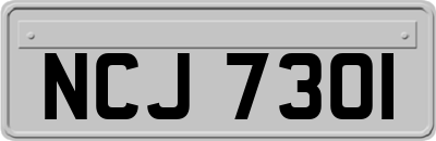 NCJ7301