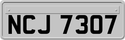 NCJ7307