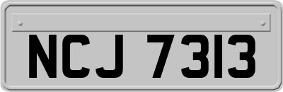 NCJ7313