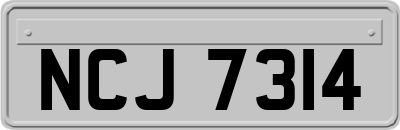 NCJ7314