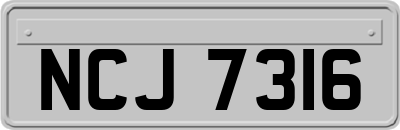NCJ7316