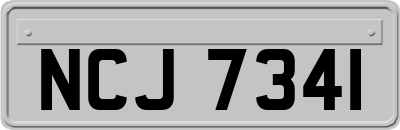 NCJ7341