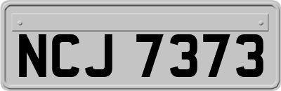 NCJ7373