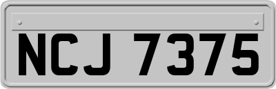 NCJ7375