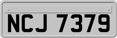 NCJ7379