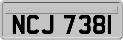 NCJ7381