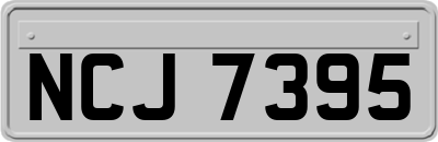 NCJ7395