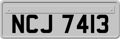 NCJ7413