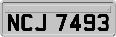 NCJ7493