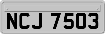 NCJ7503