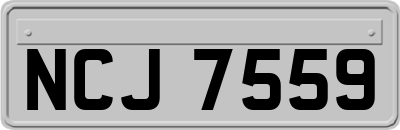 NCJ7559