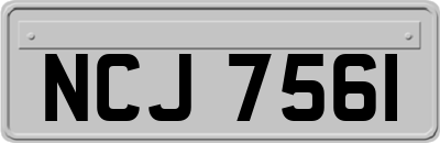 NCJ7561