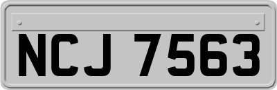 NCJ7563