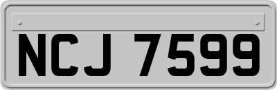 NCJ7599