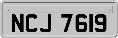 NCJ7619