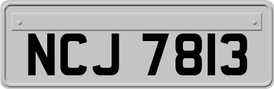 NCJ7813