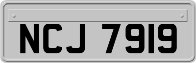 NCJ7919
