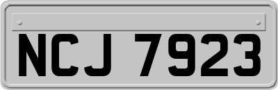 NCJ7923