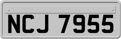 NCJ7955
