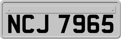 NCJ7965