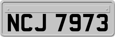 NCJ7973