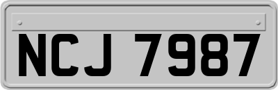 NCJ7987