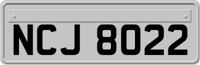 NCJ8022