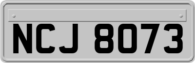 NCJ8073