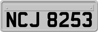 NCJ8253