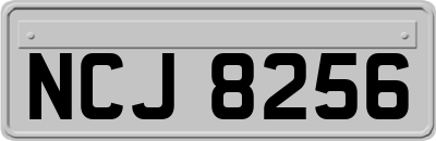 NCJ8256