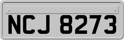 NCJ8273