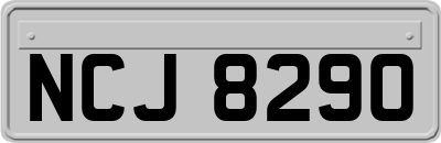 NCJ8290