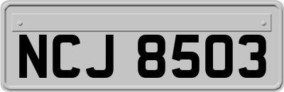 NCJ8503